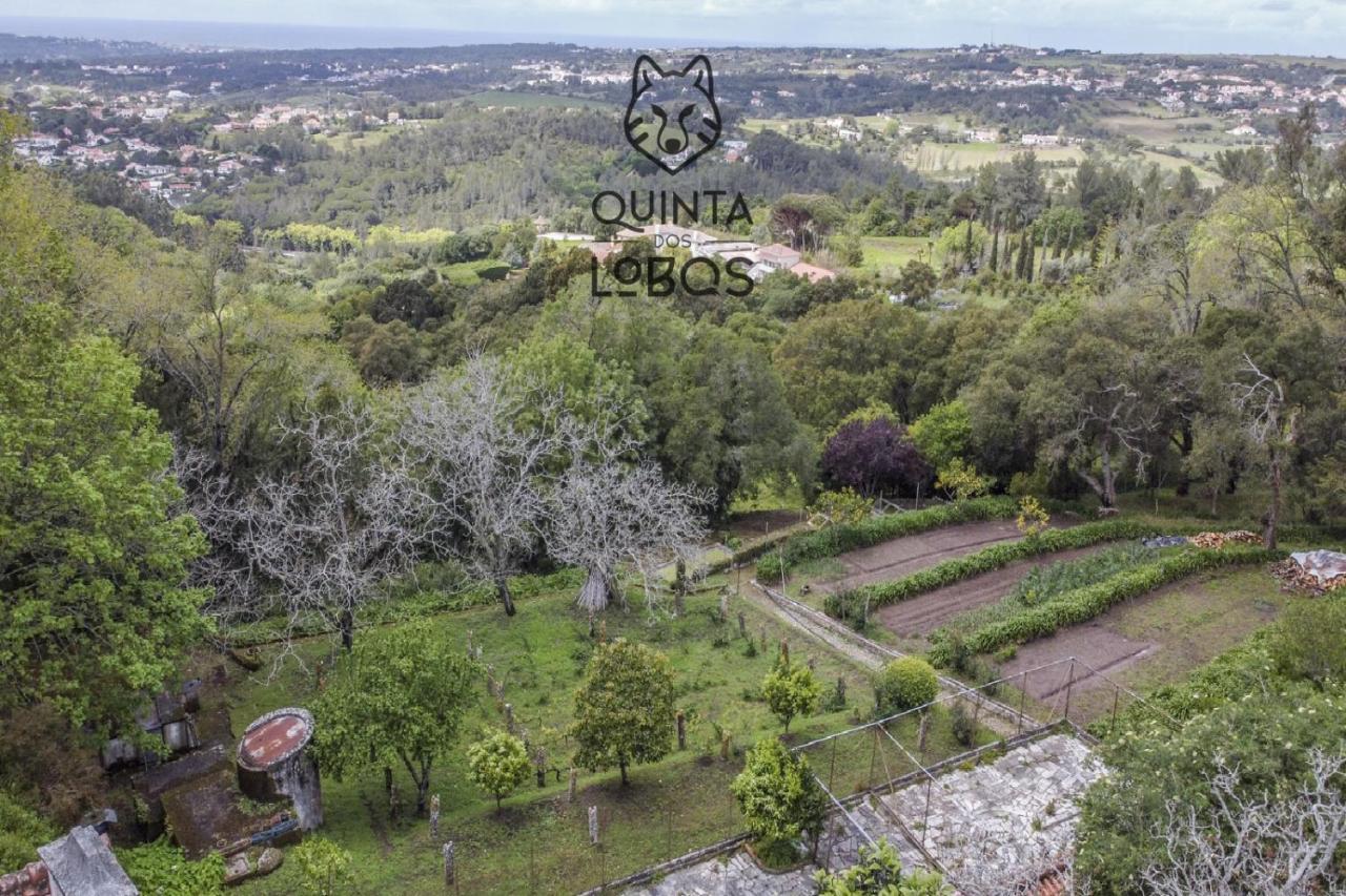 Quinta Dos Lobos Boutique Hotel - Nature Experience Sintra Ngoại thất bức ảnh
