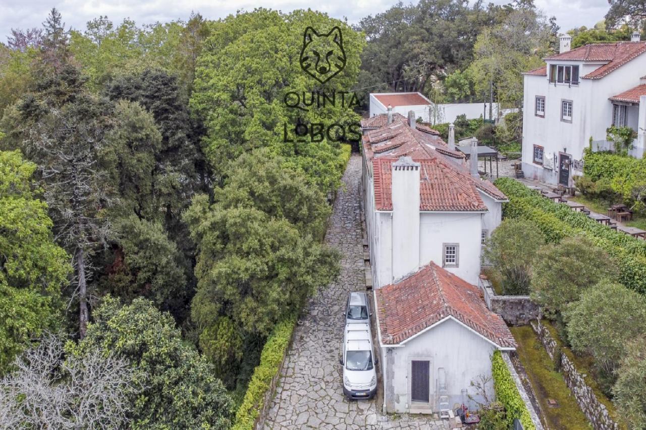 Quinta Dos Lobos Boutique Hotel - Nature Experience Sintra Ngoại thất bức ảnh