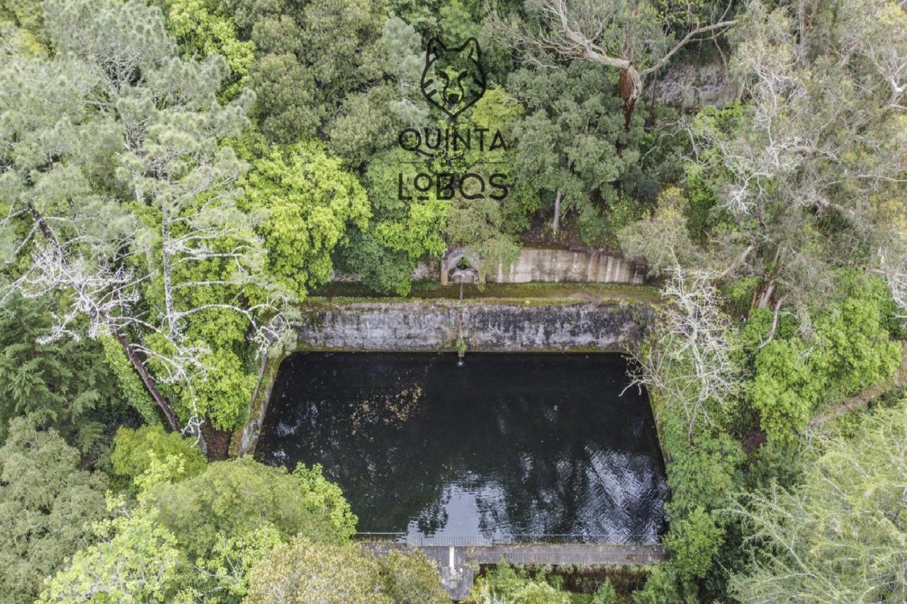 Quinta Dos Lobos Boutique Hotel - Nature Experience Sintra Ngoại thất bức ảnh