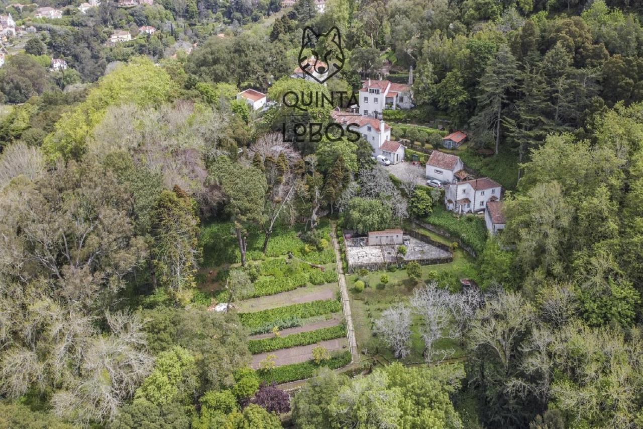 Quinta Dos Lobos Boutique Hotel - Nature Experience Sintra Ngoại thất bức ảnh