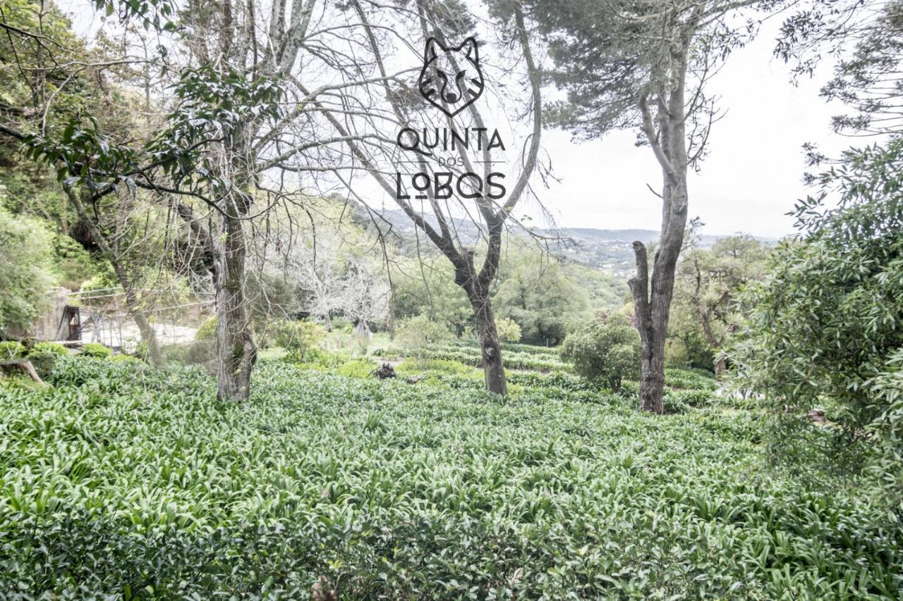 Quinta Dos Lobos Boutique Hotel - Nature Experience Sintra Ngoại thất bức ảnh